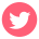 twitter icon
